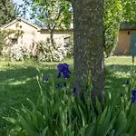 Delightful Facing The Vineyard Holiday home