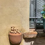 Delightful Facing The Vineyard Casa Albonetti