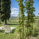 Delightful Facing The Vineyard