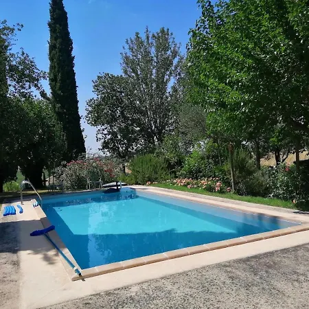 Delightful Facing The Vineyard