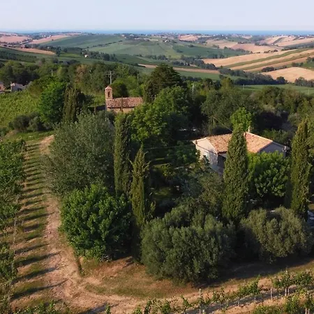 Delightful Facing The Vineyard 度假居 *