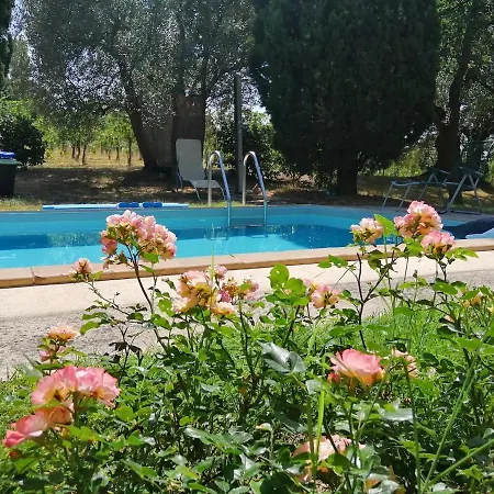 度假居 Delightful Facing The Vineyard *