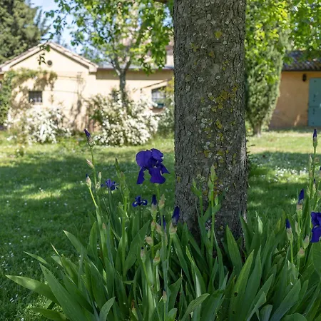 Delightful Facing The Vineyard 度假居