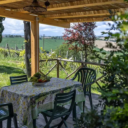 度假居 Delightful Facing The Vineyard *