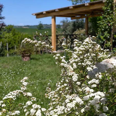 度假居 Delightful Facing The Vineyard *