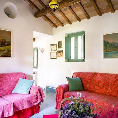 Delightful Facing The Vineyard