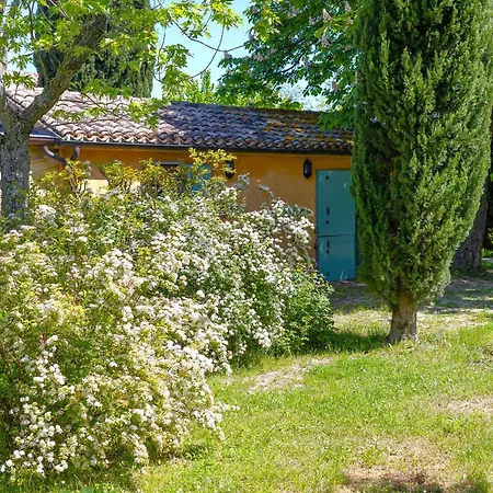 Delightful Facing The Vineyard Holiday home *